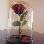 Sentiero Delle Fiabe