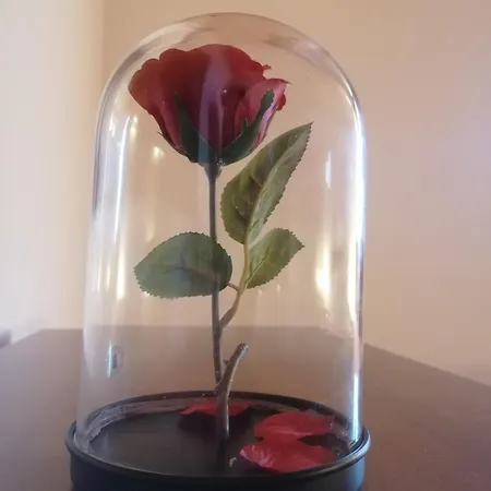 Sentiero Delle Fiabe